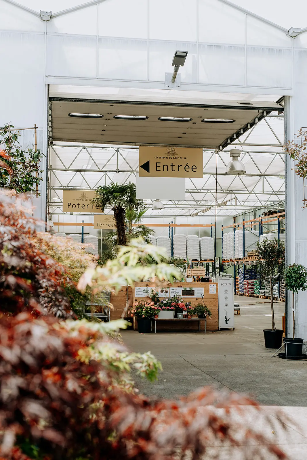 jardinerie braine